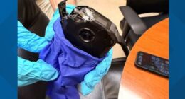 Florida deputy's body camera takes bullet, likely saving his life in shooting with armed suspect