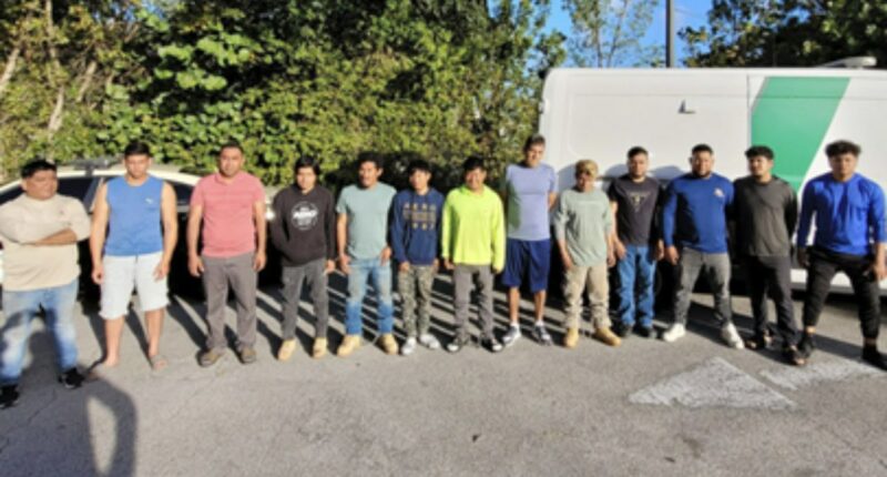 Florida, feds arrest 15 illegal immigrants with criminal records in ‘targeted’ operation