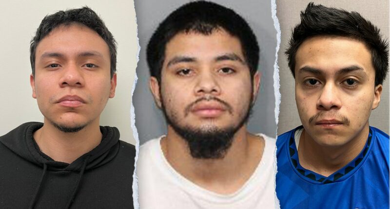 Four illegal immigrants linked to MS-13 indicted for allegedly murdering 14-year-old boy in Maryland park