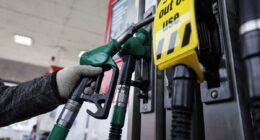 Fuel supplies 'monitored' as minister admits rationing IS possible
