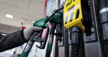 Fuel supplies 'monitored' as minister admits rationing IS possible