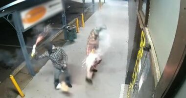 Mackay arson attack on tobacconist