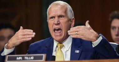 A furious Thom Tillis demanded Kristi Noem's resignation.