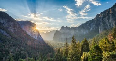 Fury over plan for 110 homes near Yosemite Park that will tower 24ft