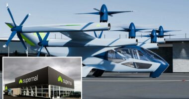 Futuristic flying EV maker is latest jobs bloodbath to hit California â as it lays off 80% of staff