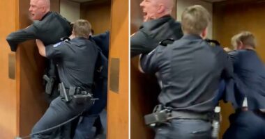 GOP Sen. Tim Sheehy helps Capitol Police remove protester -- who allegedly injured 3 officers and appeared to break his own arm -- in wild scene