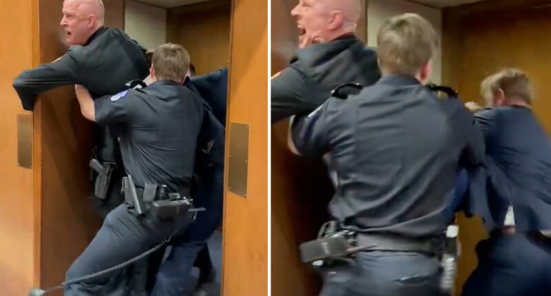 GOP Sen. Tim Sheehy helps Capitol Police remove protester -- who allegedly injured 3 officers and appeared to break his own arm -- in wild scene