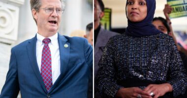 GOP lawmaker asks Intel committee to get 'Squad' Rep Ilhan Omar's immigration records