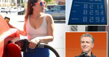 GOP senator pitches plan to slash California's sky-high gas taxes