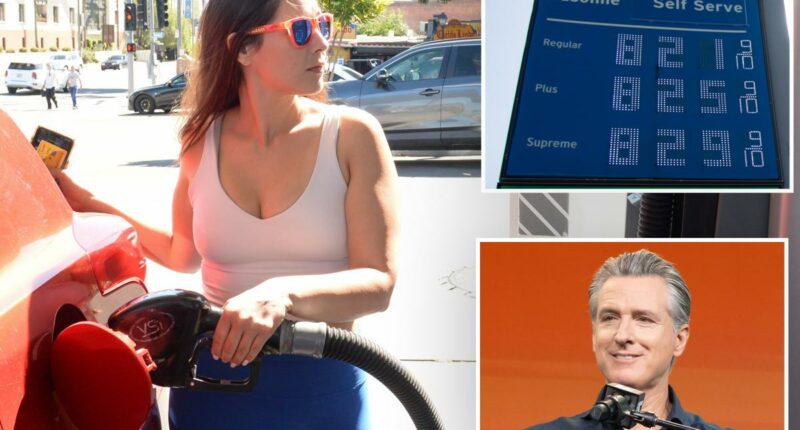 GOP senator pitches plan to slash California's sky-high gas taxes