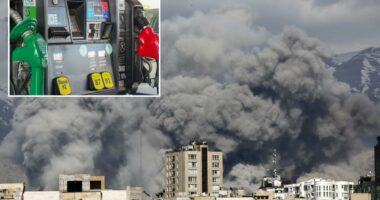 Gas prices cross $3 gallon for first time since November â and Americans could face more pain at pump