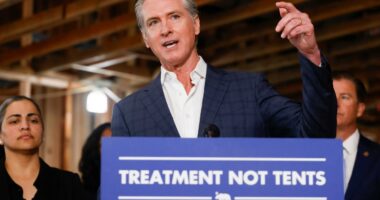 Gavin Newsom accused of passing the buck on CA's problems as he eyes White House