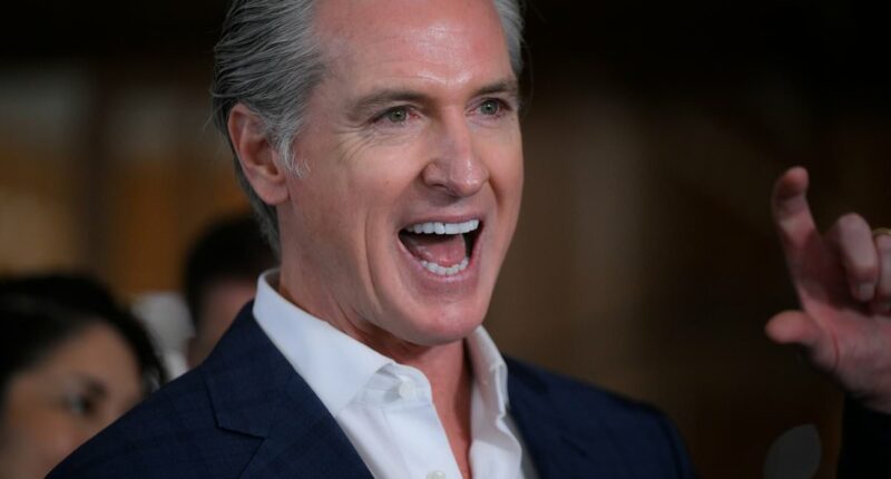 Gavin Newsom is everywhere... but there's a surprising 2028 candidate leading the Democratic field