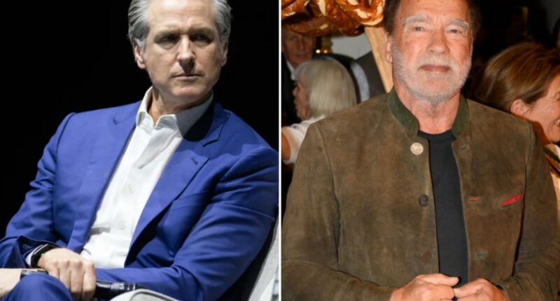 Gavin Newsom reveals California Hall of Fame inductees after early Arnold Schwarzenegger snub