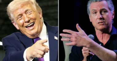 Gavin Newsom ripped by Trump as unfit for White House due to 'mental problems'