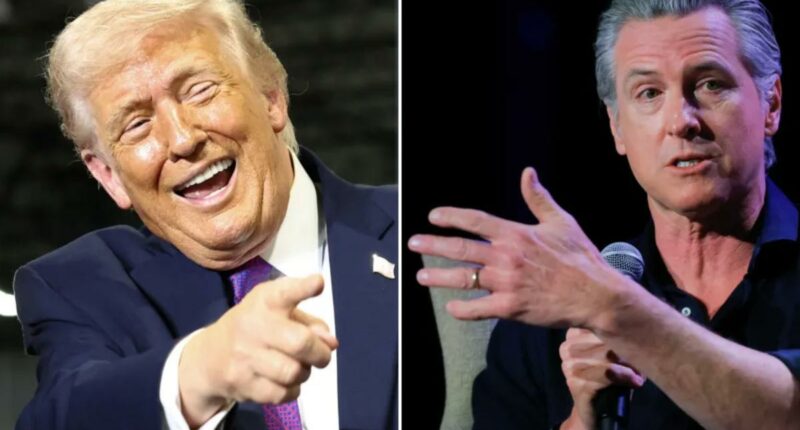 Gavin Newsom ripped by Trump as unfit for White House due to 'mental problems'