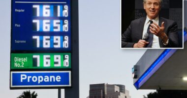 Gavin Newsom signed California law that would make gas cheaper â but never used it