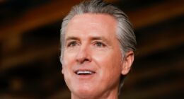 Gavin Newsom twists knife on Kristi Noem with jab at animal cruelty