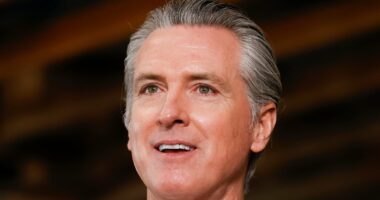 Gavin Newsom twists knife on Kristi Noem with jab at animal cruelty