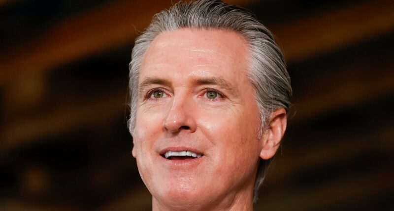 Gavin Newsom twists knife on Kristi Noem with jab at animal cruelty