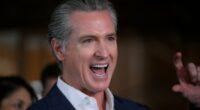 Gavin Newsom's biggest threat might surprise you