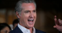 Gavin Newsom's biggest threat might surprise you