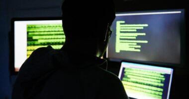 Georgia cybercriminal allegedly duped NBA, NFL players in twisted phishing scam turned sex trafficking plot