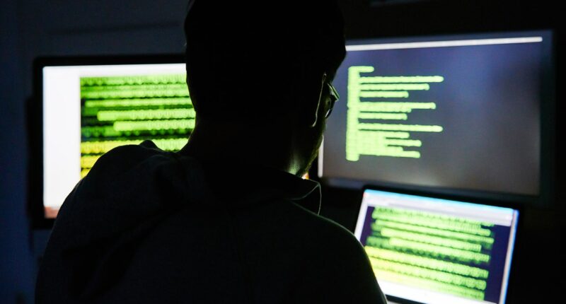 Georgia cybercriminal allegedly duped NBA, NFL players in twisted phishing scam turned sex trafficking plot