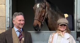 Geri Halliwell and Christian Horner win row over '£30k' horse walker