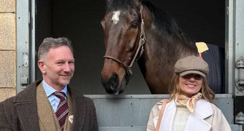 Geri Halliwell and Christian Horner win row over '£30k' horse walker