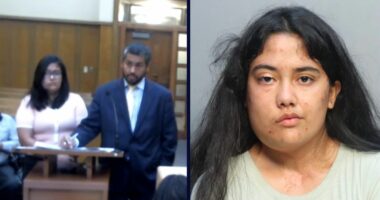 'Get rid of the child': Mom who fell for 'Rent-a-Hitman' fake website while trying to have her 3-year-old son killed avoids prison