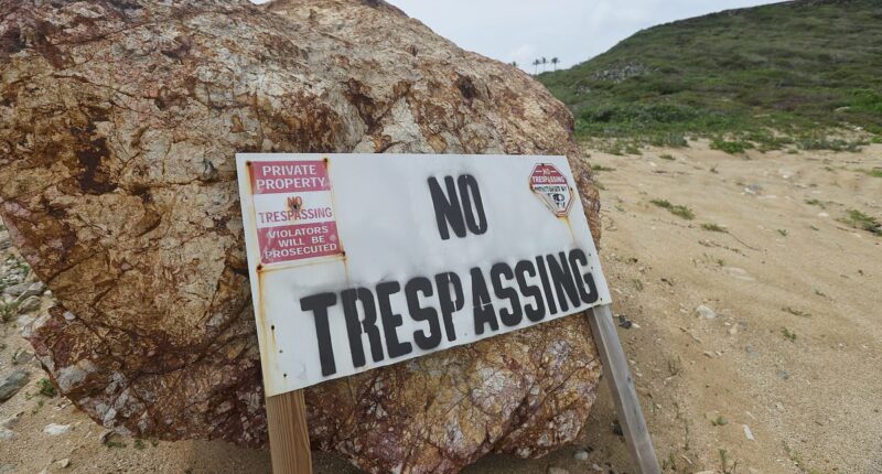 Ghoulish influencers flock to Jeffrey Epstein's notorious island