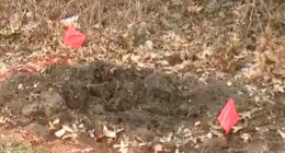 Girls Found Dead in Suitcases Were Half-Sisters; Person of Interest Questioned