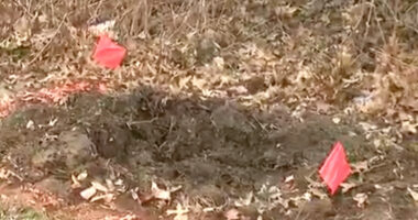 Girls Found Dead in Suitcases Were Half-Sisters; Person of Interest Questioned