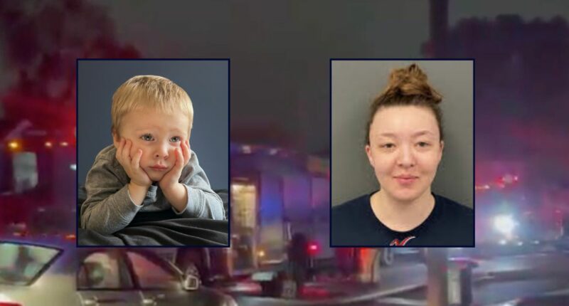 'Go beat on her kid': Woman who allegedly blamed toddler's death on boy being 'uncoordinated' will plead guilty