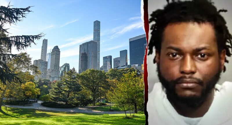 Good Samaritans help stop alleged park predator months after repeat offender released: report