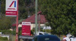 The government's plan to underwrite fuel costs is aimed to shore up supply and bring down costs.