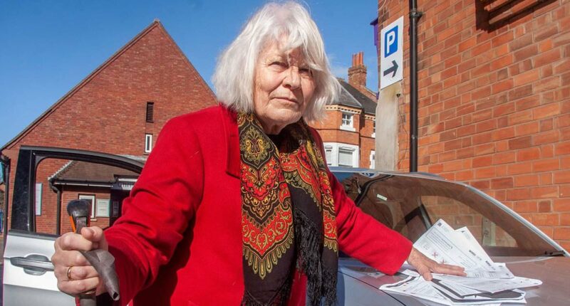 Gran is fined £270 despite 'ticket machine at car park being broken'