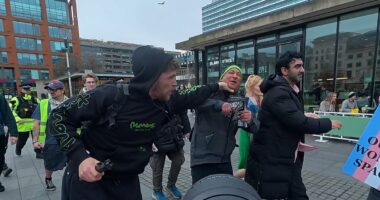 Green Party MP Hannah Spencer forced into police car after brawl