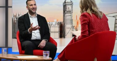 Greens' Polanski says UK should cut ties with US after Iran strikes