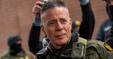 Greg Bovino set to retire after exile from top Border Patrol job