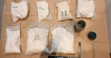 Grim reality of cocaine as lethal cocktail of chemicals used for drugs