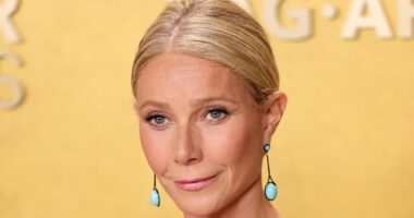 Gwyneth Paltrow suffers a wardrobe malfunction at the Actors Awards