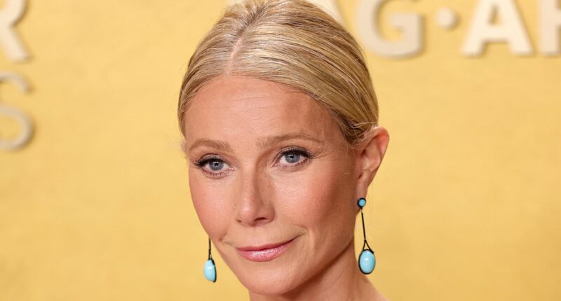 Gwyneth Paltrow suffers a wardrobe malfunction at the Actors Awards
