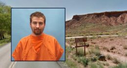 'Had to be done': 3 women killed 'for convenience' across single county as one man is taken into custody after driving victim's car, police say