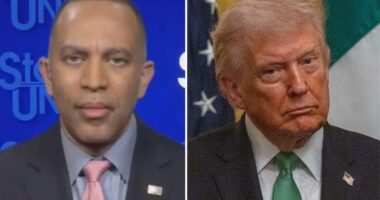 Hakeem Jeffries tells Trump to shut 'his reckless mouth' in response to prez blasting Dems