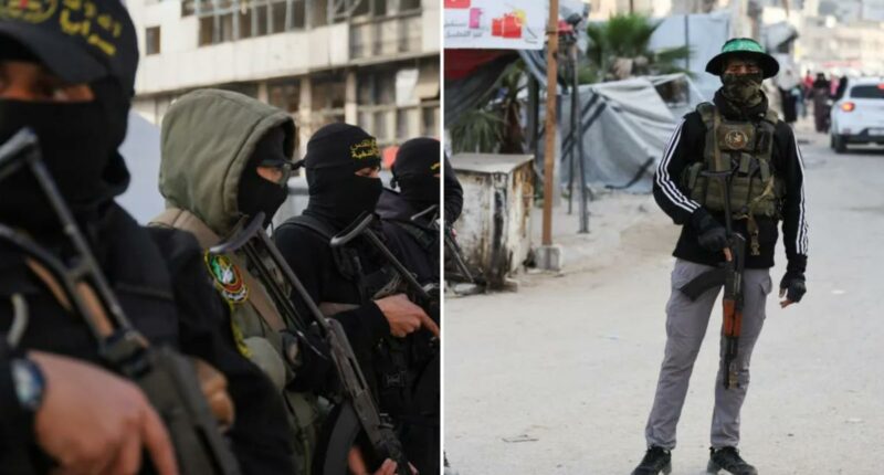 Hamas given 90 days to hand over rocket launchers, missiles in latest Gaza disarmament plan