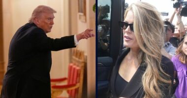 'Hard to reconcile': Florida Bar throws cold water on idea that Trump lawyer's humiliating pretend US attorney stint is under 'pending' investigation