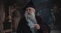 Harry Potter HBO TV Series Photos Reveal Dumbledore, McGonagall And Snape