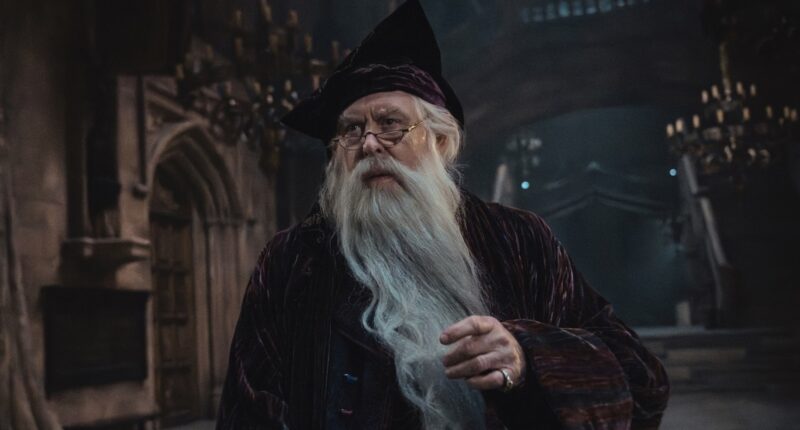 Harry Potter HBO TV Series Photos Reveal Dumbledore, McGonagall And Snape